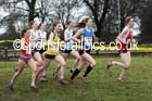 Womens under-20a  Northern Cross Country, Knowsley Safari Park. Photo: David T. Hewitson/Sports for All Pics